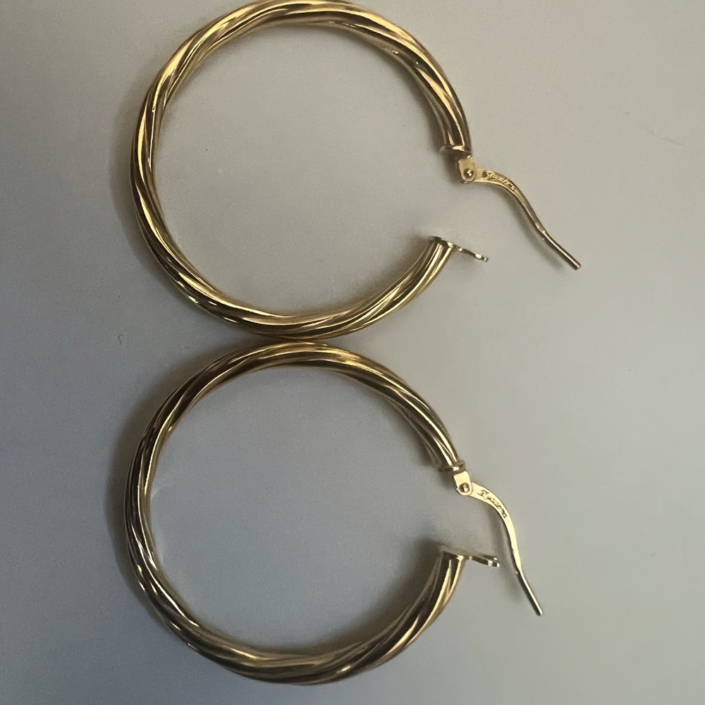 Elegant Gold Hoop Earrings